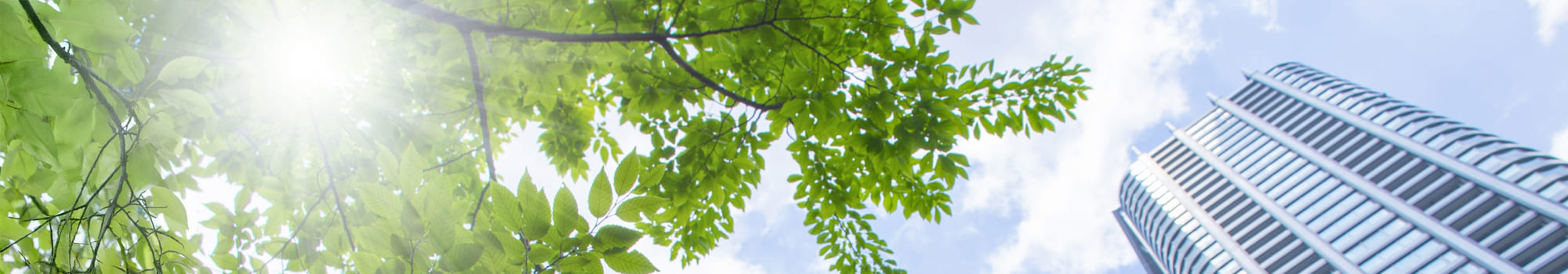 プライバシーポリシー